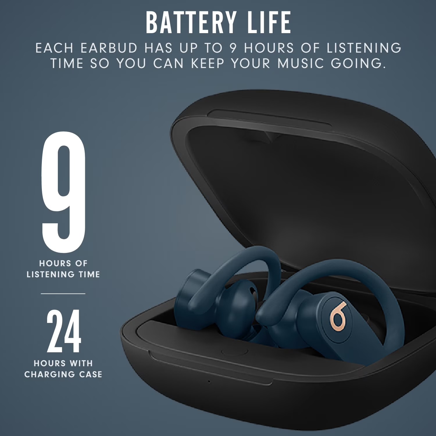 Beats Powerbeats Pro High Perf - đánh giá và giá Beats Headphone Powerbeats Pro